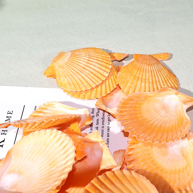 Marine Fish Tank - ที่ดีที่สุดสีเหลือง scallop เปลือกปลาถังภูมิทัศน์ diy มือตกแต่ง Marine