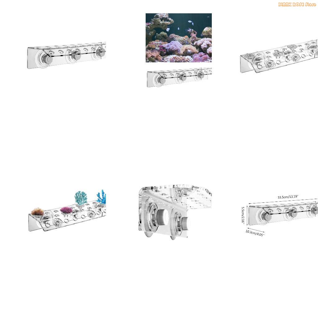 Reef Aquarium - K1AE ชั้นวาง Frag ปะการังอะคริลิกสำหรับตู้ปลา ถ้วยดูดทรงพลัง รองรับปลั๊กได้สูงสุด