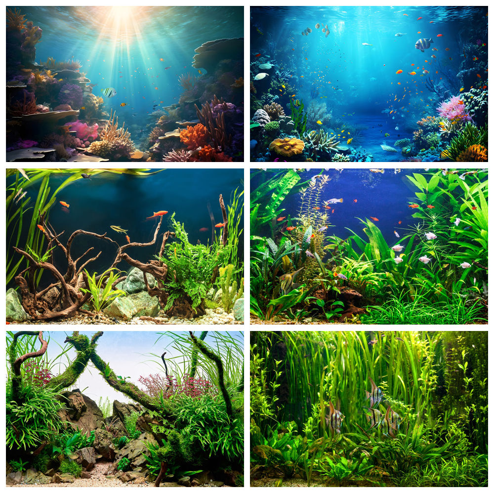 Aquarium Marine World - ภายใต้ทะเลก้นทะเลโลกการถ่ายภาพฉากหลังใต้น้ํา Marine Coral สาหร่ายทะเลปลา Aquarium ภาพเด็กทารกภาพพื้นหลัง