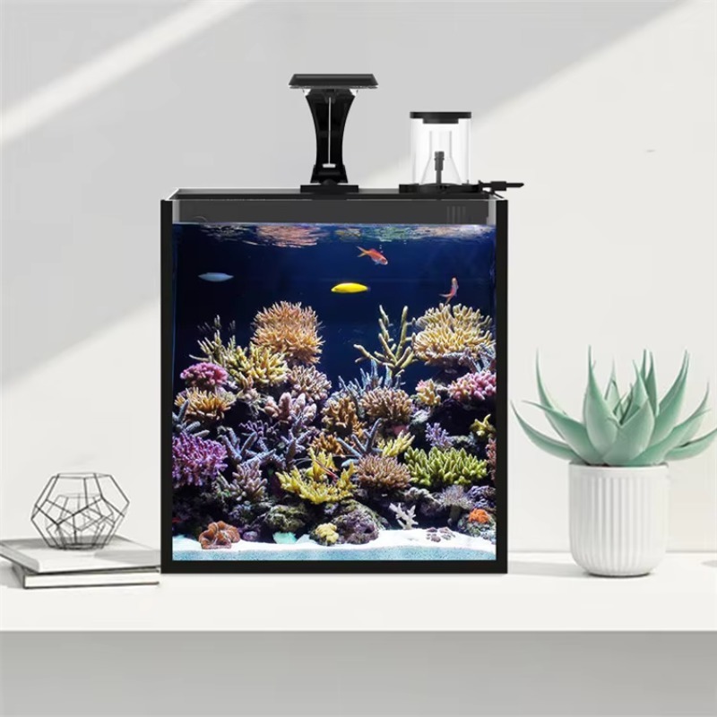 ตู้ปลาทะเลขนาดเล็กทำจากกระจกใส - Marine Aquarium Cube บทวิจารณ์และราคา