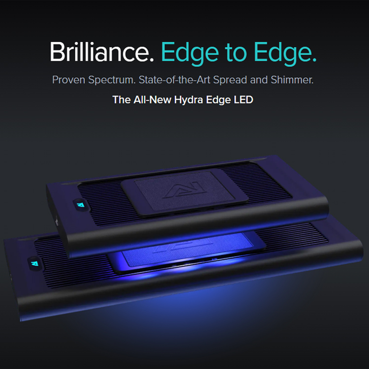 ไฟเลี้ยงปะการังรุ่นใหม่ AI Hyd - Reef Lighting บทวิจารณ์และราคา