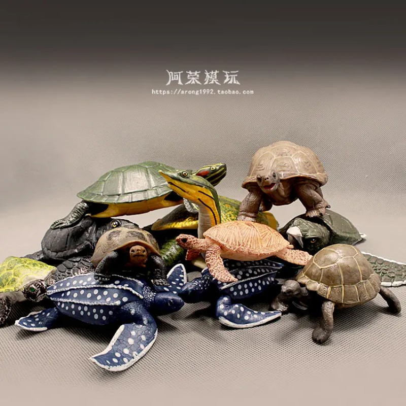 เต่าหูแดงหนังหนังสีแดง เต่าบก  - Ocean Aquarium บทวิจารณ์และราคา