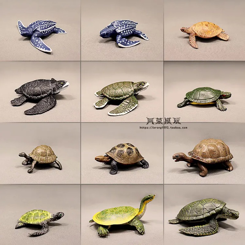เต่าหูแดงหนังหนังสีแดง เต่าบก  - Ocean Aquarium บทวิจารณ์และราคา