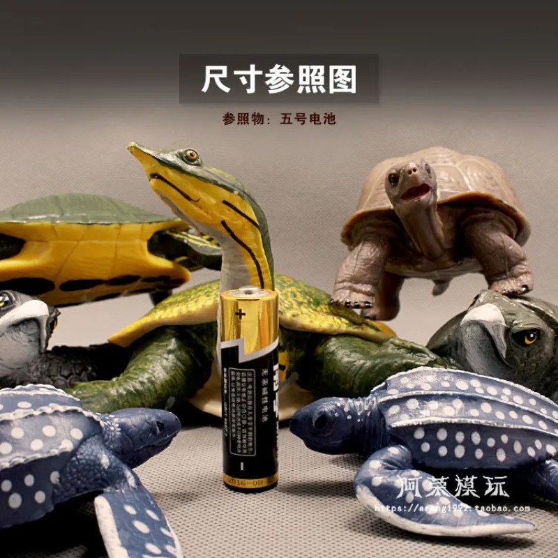 เต่าหูแดงหนังหนังสีแดง เต่าบก  - Ocean Aquarium บทวิจารณ์และราคา