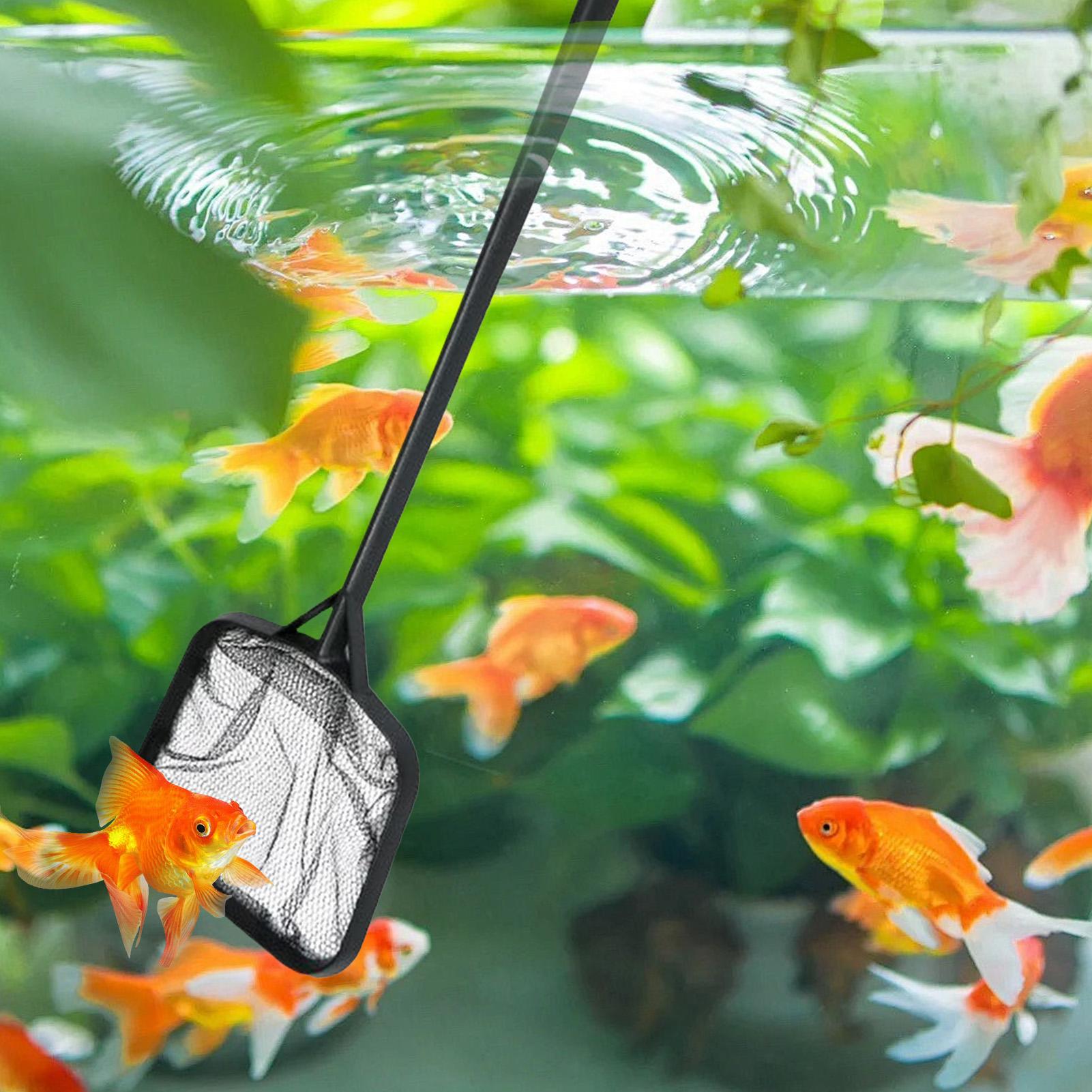 ตาข่ายทำความสะอาดสระว่ายน้ำแบบ - Marine Aquarium บทวิจารณ์และราคา