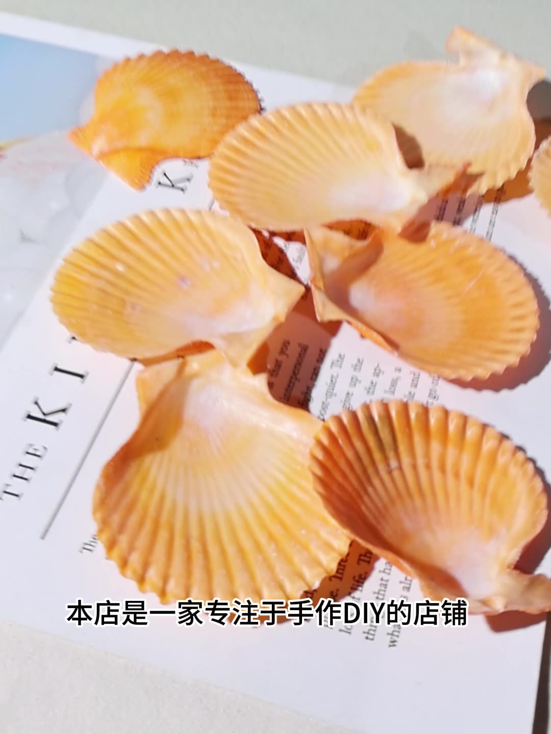 ที่ดีที่สุดสีเหลือง scallop เป - Marine Fish Tank บทวิจารณ์และราคา