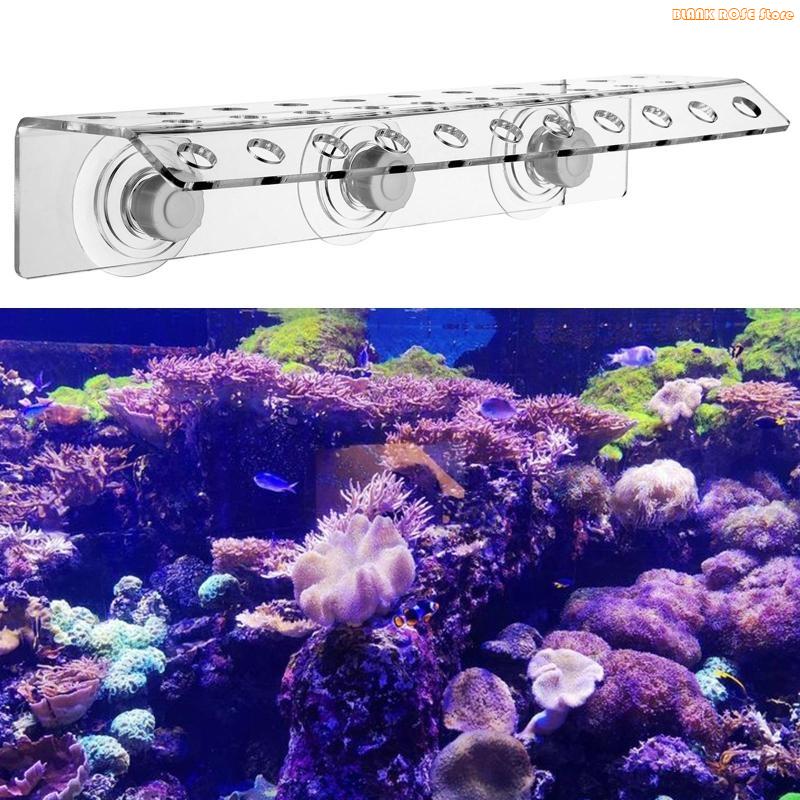 K1AE ชั้นวาง Frag ปะการังอะคริ - Reef Aquarium บทวิจารณ์และราคา