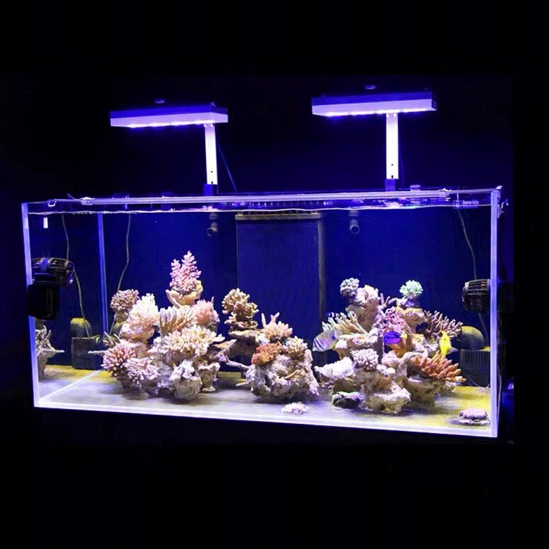 ไฟ LED สำหรับตู้ปลาทะเล Aqua I - Reef Lighting บทวิจารณ์และราคา