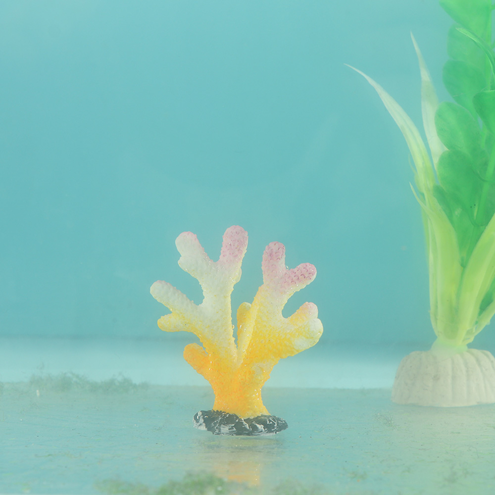 ประดิษฐ์ปะการังปลาเครื่องประดั - Reef Aquarium บทวิจารณ์และราคา