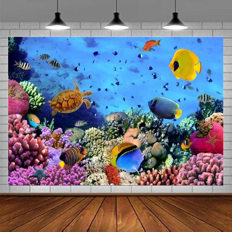 ฉากหลังการถ่ายภาพโลกใต้ทะเล ทิ - Aquarium Marine World บทวิจารณ์และราคา