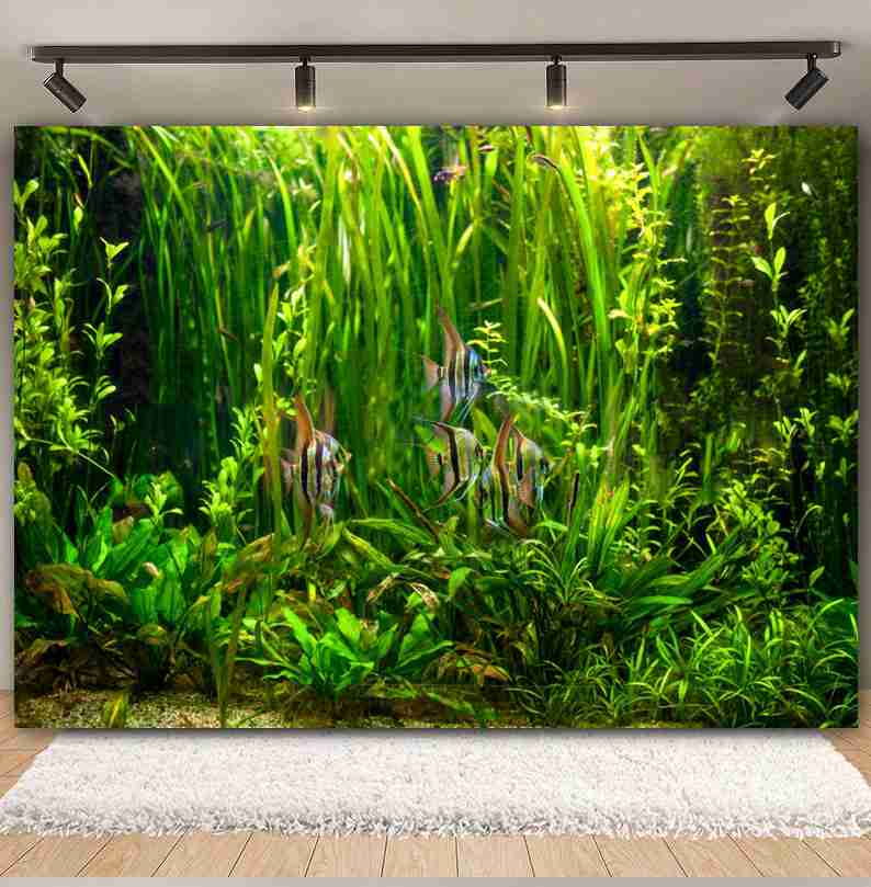 ภายใต้ทะเลก้นทะเลโลกการถ่ายภาพ - Aquarium Marine World บทวิจารณ์และราคา
