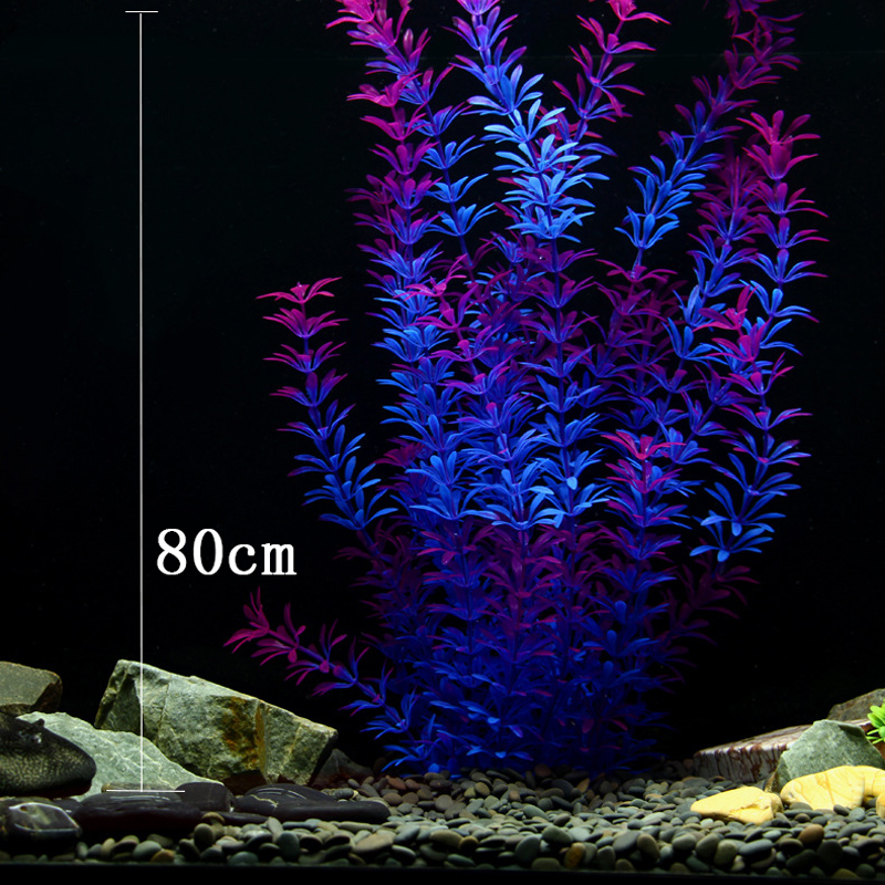 ต้นไม้เขตร้อนขนาด 100 ซม. หญ้า - Marine Aquarium บทวิจารณ์และราคา