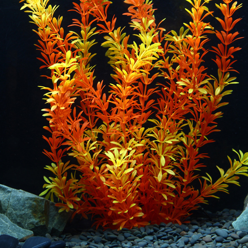 ต้นไม้เขตร้อนขนาด 100 ซม. หญ้า - Marine Aquarium บทวิจารณ์และราคา