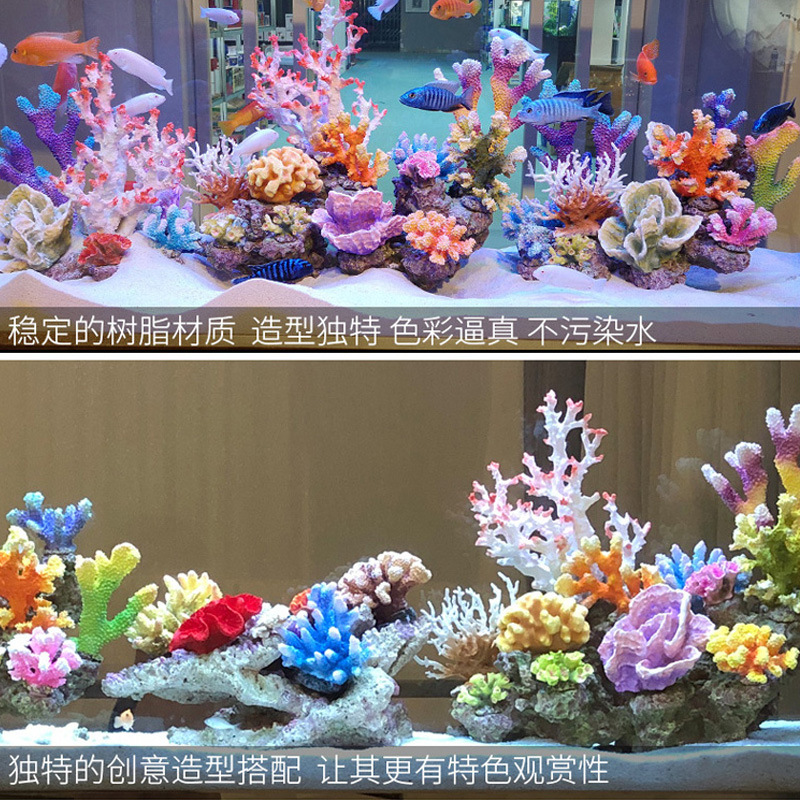 ชุดตกแต่งตู้ปลาขนาดเล็ก ต้นปะก - Marine Aquarium Epoxy บทวิจารณ์และราคา