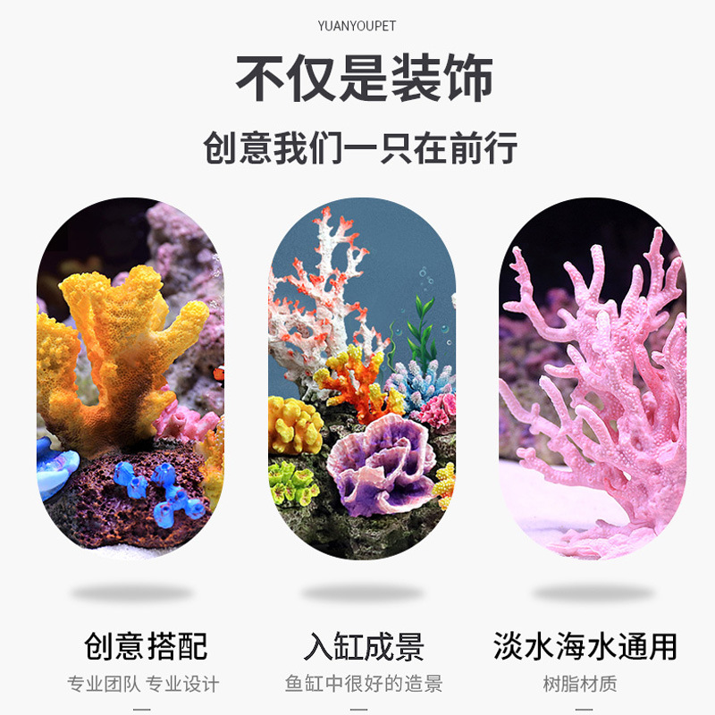 ชุดตกแต่งตู้ปลาขนาดเล็ก ต้นปะก - Marine Aquarium Epoxy บทวิจารณ์และราคา