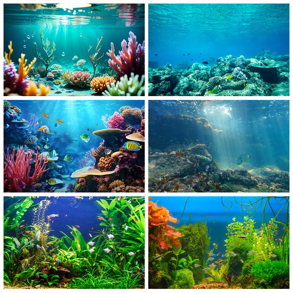 Underwater World ก้นทะเลการถ่า - Aquarium Marine World บทวิจารณ์และราคา