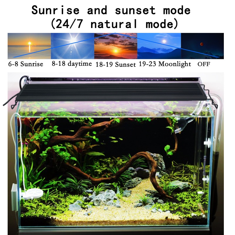 ไฟ LED สำหรับตู้ปลาแบบ Full Sp - Reef Lighting บทวิจารณ์และราคา