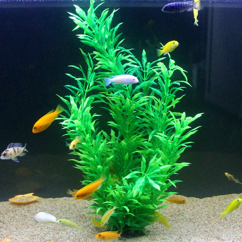 50 ซม.ถังปลาประดิษฐ์พืชหายากAq - Marine Fish Tank บทวิจารณ์และราคา