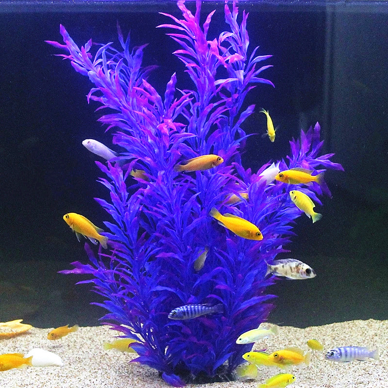 50 ซม.ถังปลาประดิษฐ์พืชหายากAq - Marine Fish Tank บทวิจารณ์และราคา
