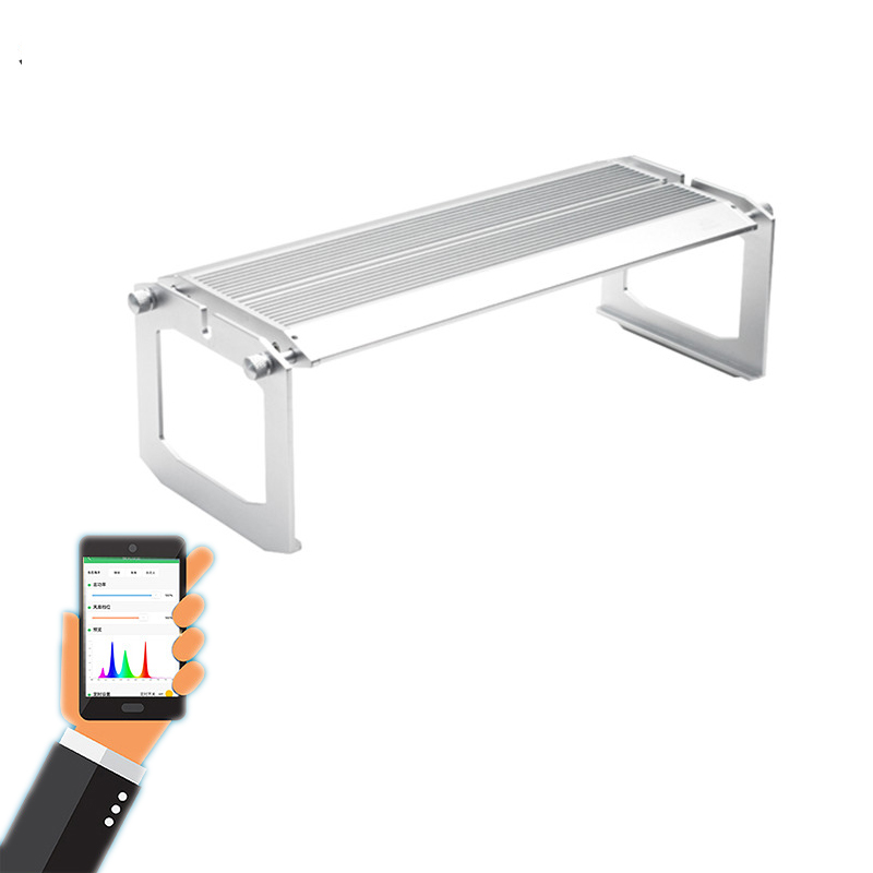 WEEK AQUA ไฟ LED สำหรับตู้ปลาท - Reef Lighting บทวิจารณ์และราคา