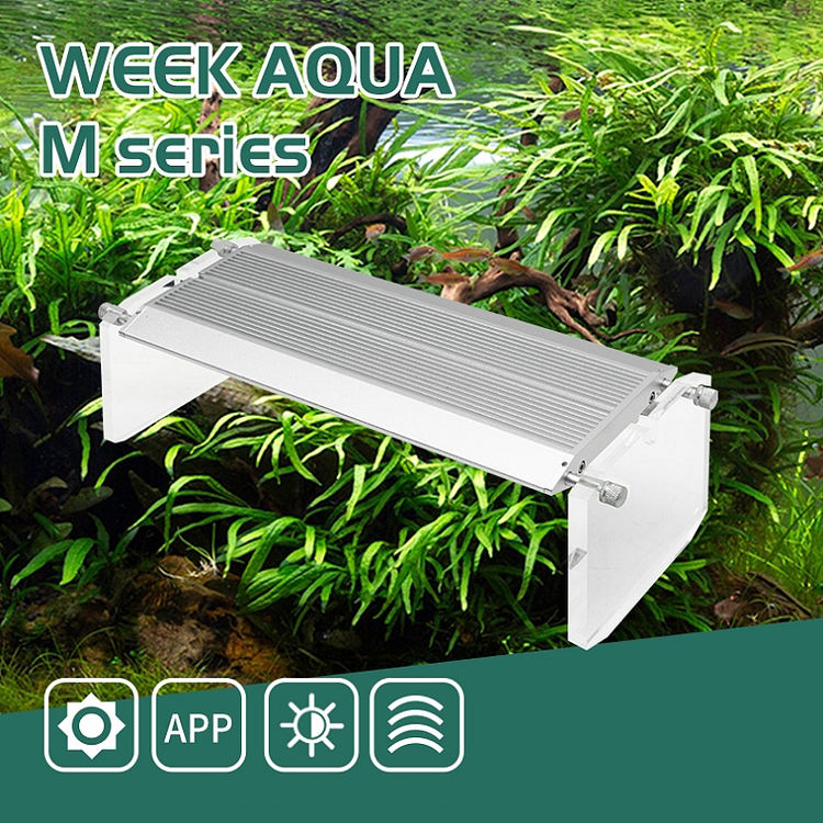 WEEK AQUA ไฟ LED สำหรับตู้ปลาท - Reef Lighting บทวิจารณ์และราคา