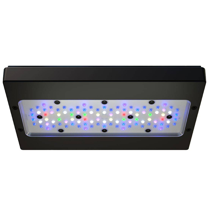 ไฟ LED สำหรับตู้ปลาทะเล A8 PRO - Reef Lighting บทวิจารณ์และราคา