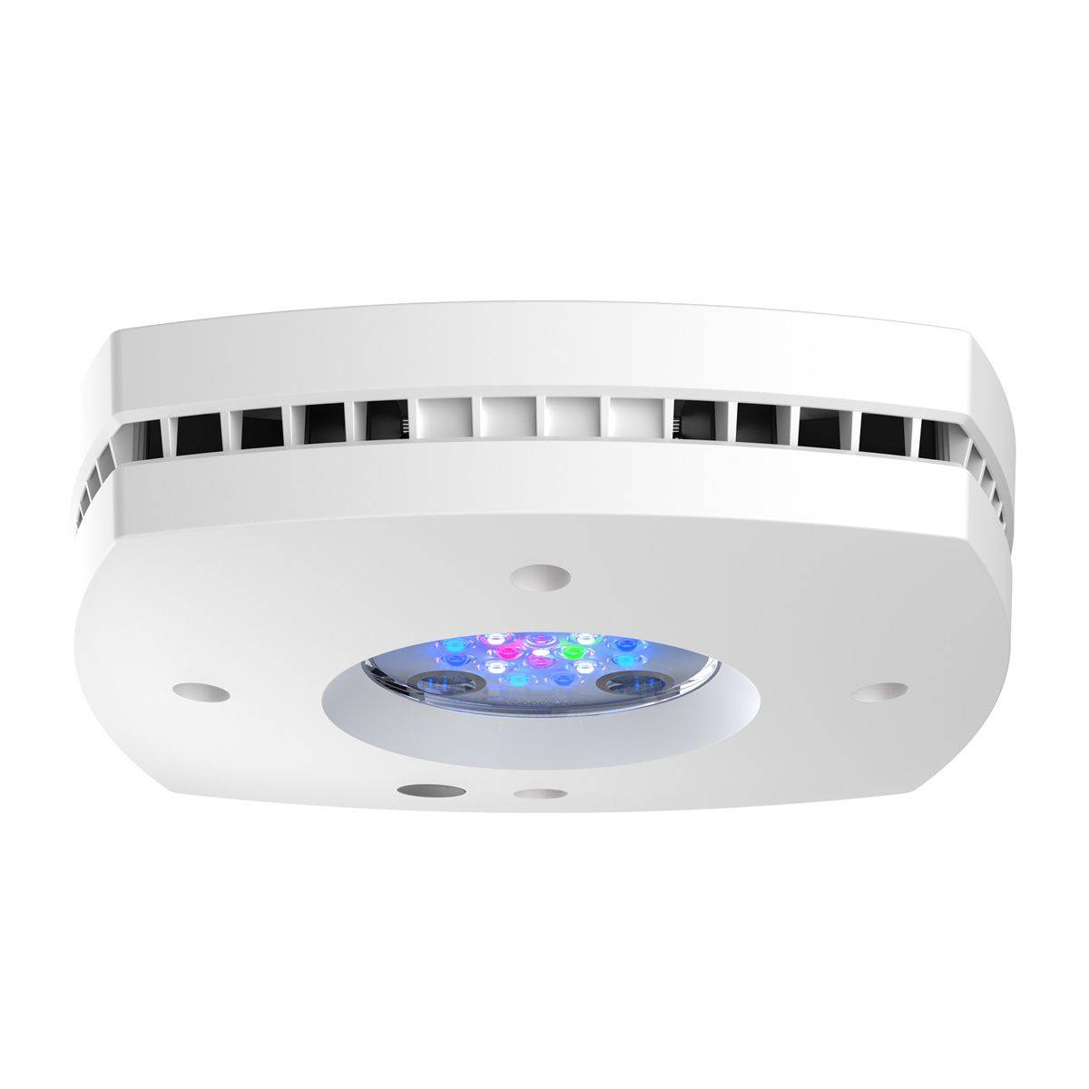 Prime 16 HD LED Reef Light, ขา - Reef Lighting บทวิจารณ์และราคา