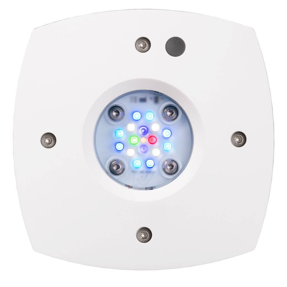 Prime 16 HD LED Reef Light, ขา - Reef Lighting บทวิจารณ์และราคา