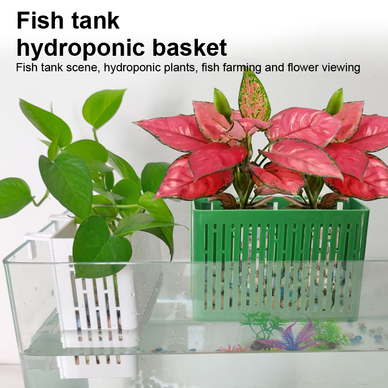 【F】กระถางแขวนตู้ปลา ที่วางต้นไ - Marine Aquarium บทวิจารณ์และราคา