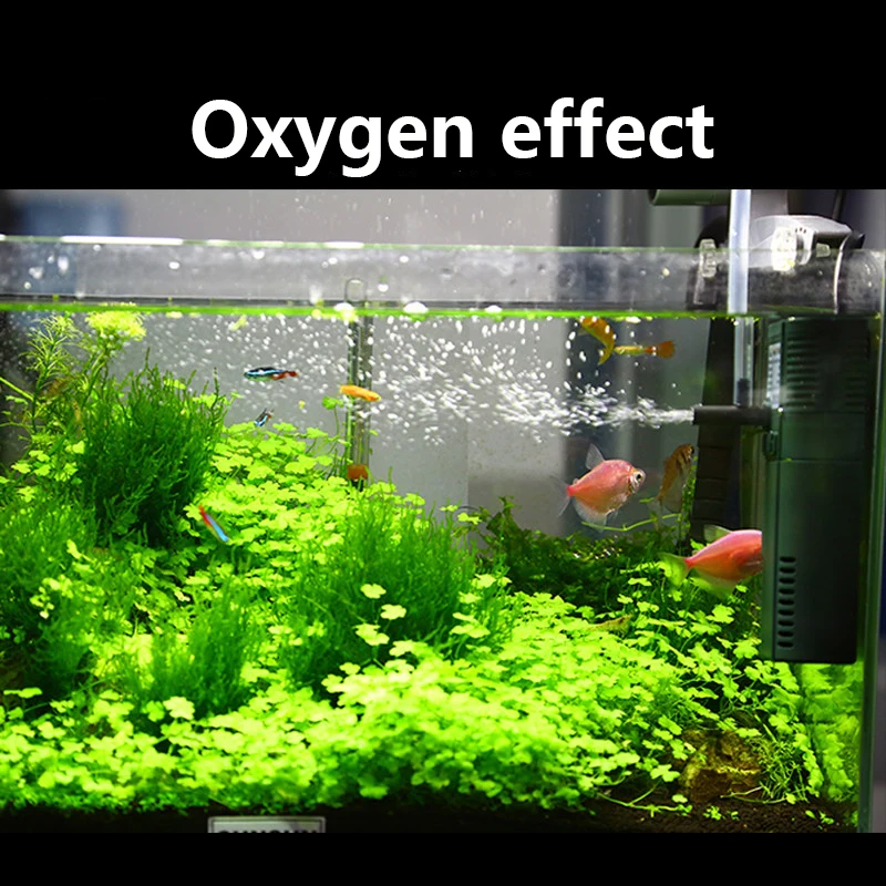 Sunsun 311B 111B ขนาดเล็กนาโน6 - Reef Tank Filter บทวิจารณ์และราคา